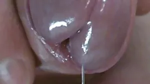 பிரேஸர்ஸ்: பட் ஸ்டஃப் இஸ் கூல் ஆபாசத்தில் ஐசிஸ் லவ்