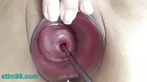 பிச்சி பாஸ்லேடி பிரிட்ஜெட் பி ரைட்ஸ் கொம்புள்ள ஊழியர்
